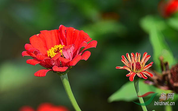 DSC_1116_���� - ����.jpg