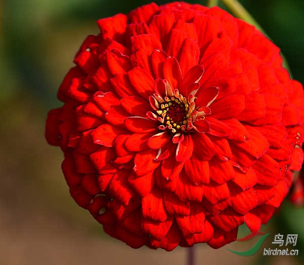 DSC_1040_���� - ����.jpg