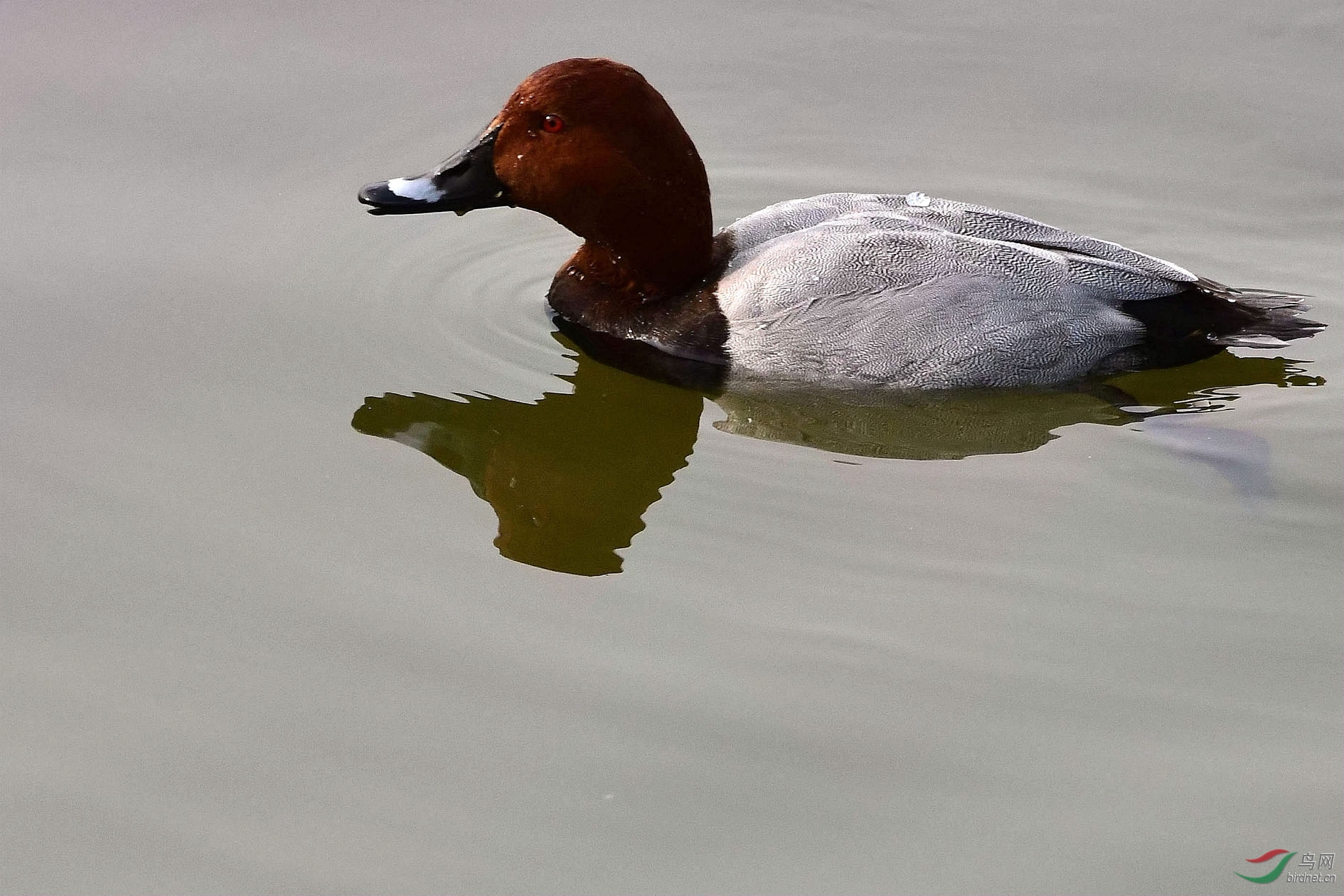 DSC_5920_����.jpg