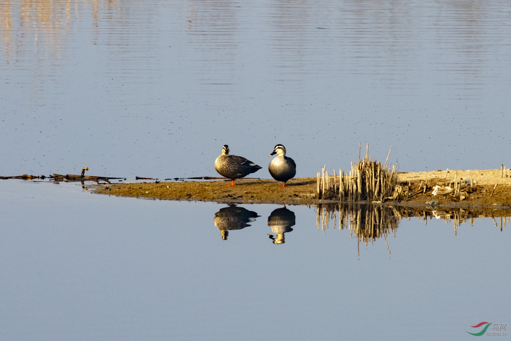 D85_3335.jpg