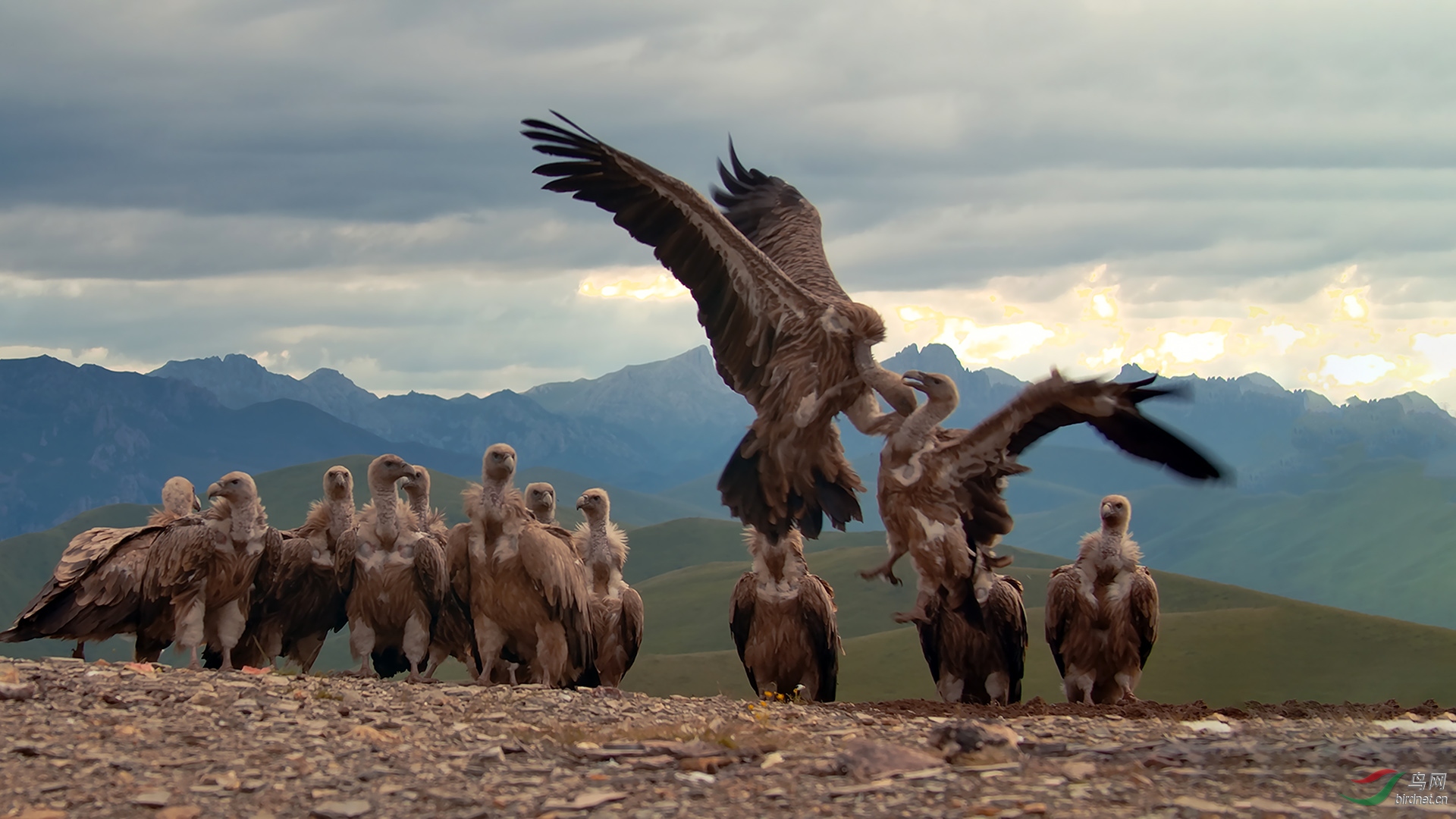 main out.00_00_34_23.Still009.jpg