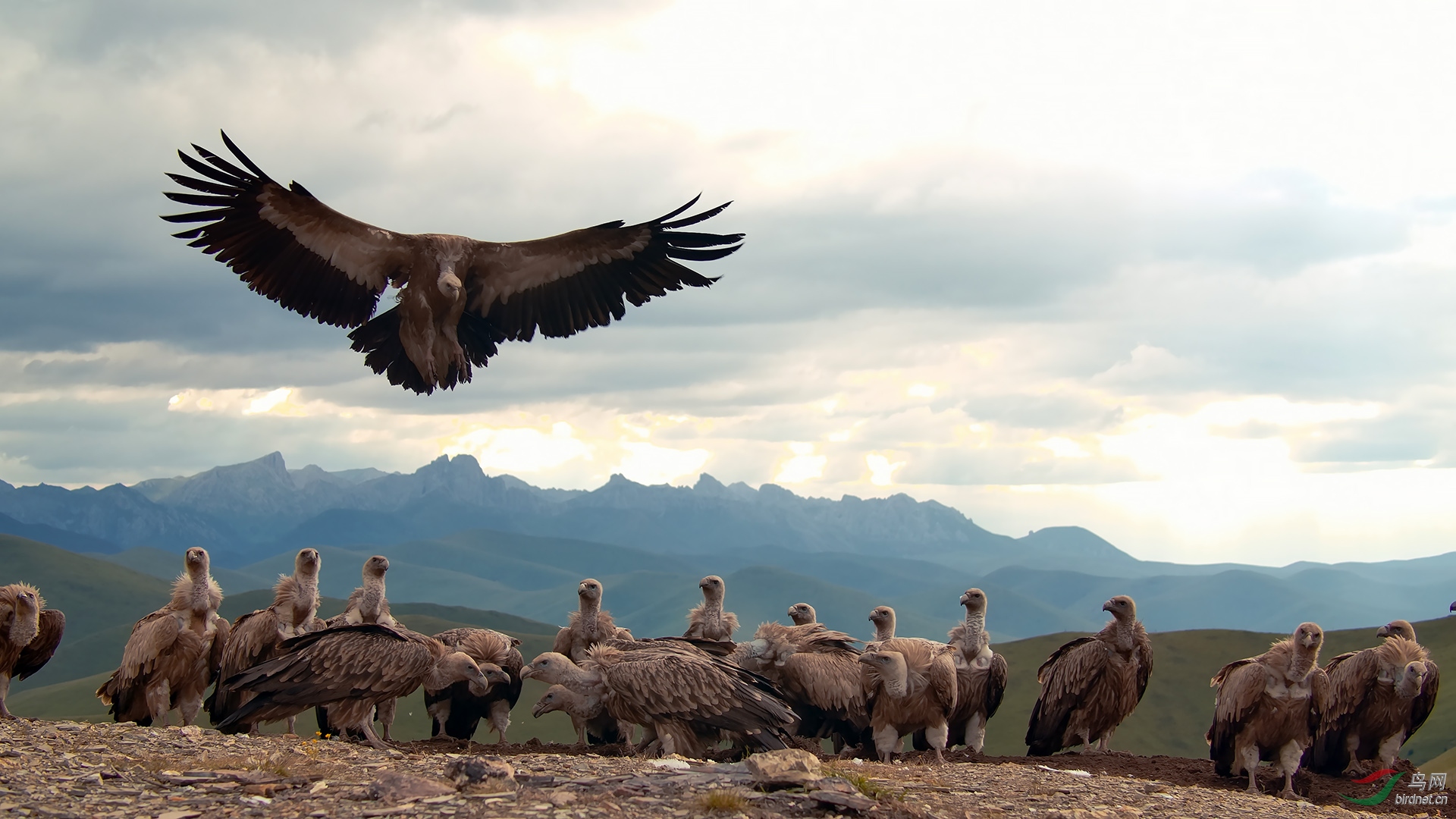 main out.00_00_30_02.Still008.jpg