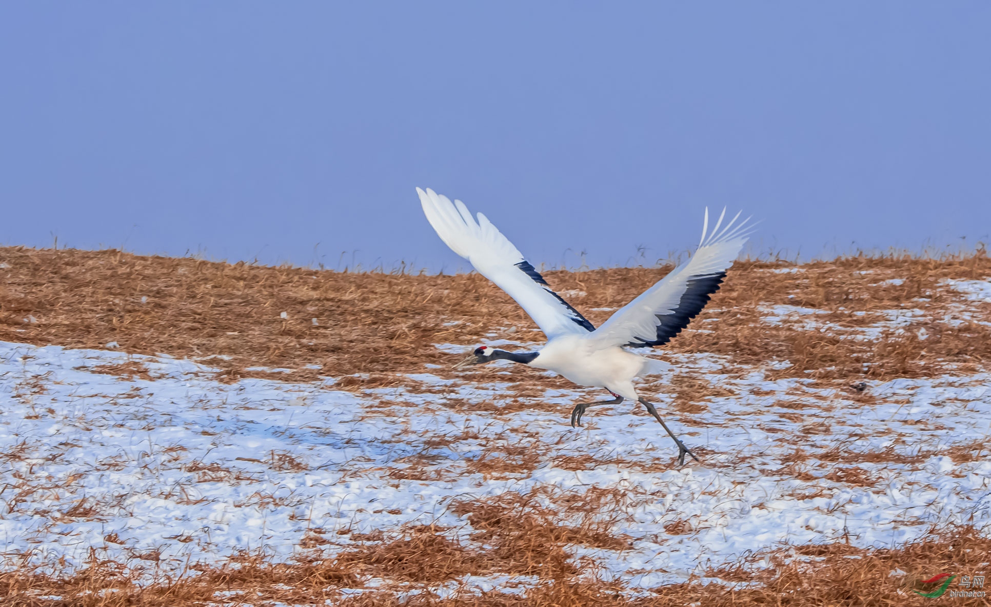 DSC_3033.jpg