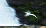1 (30).JPG