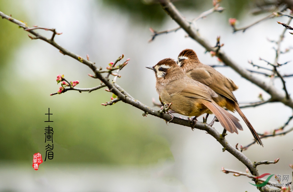 ���]���̡�Լ8m��70��200m'mͷ��