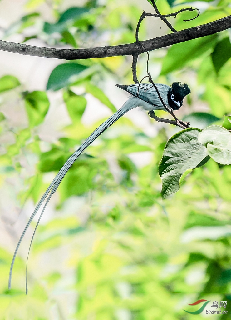 ���ٴ���Լ22m