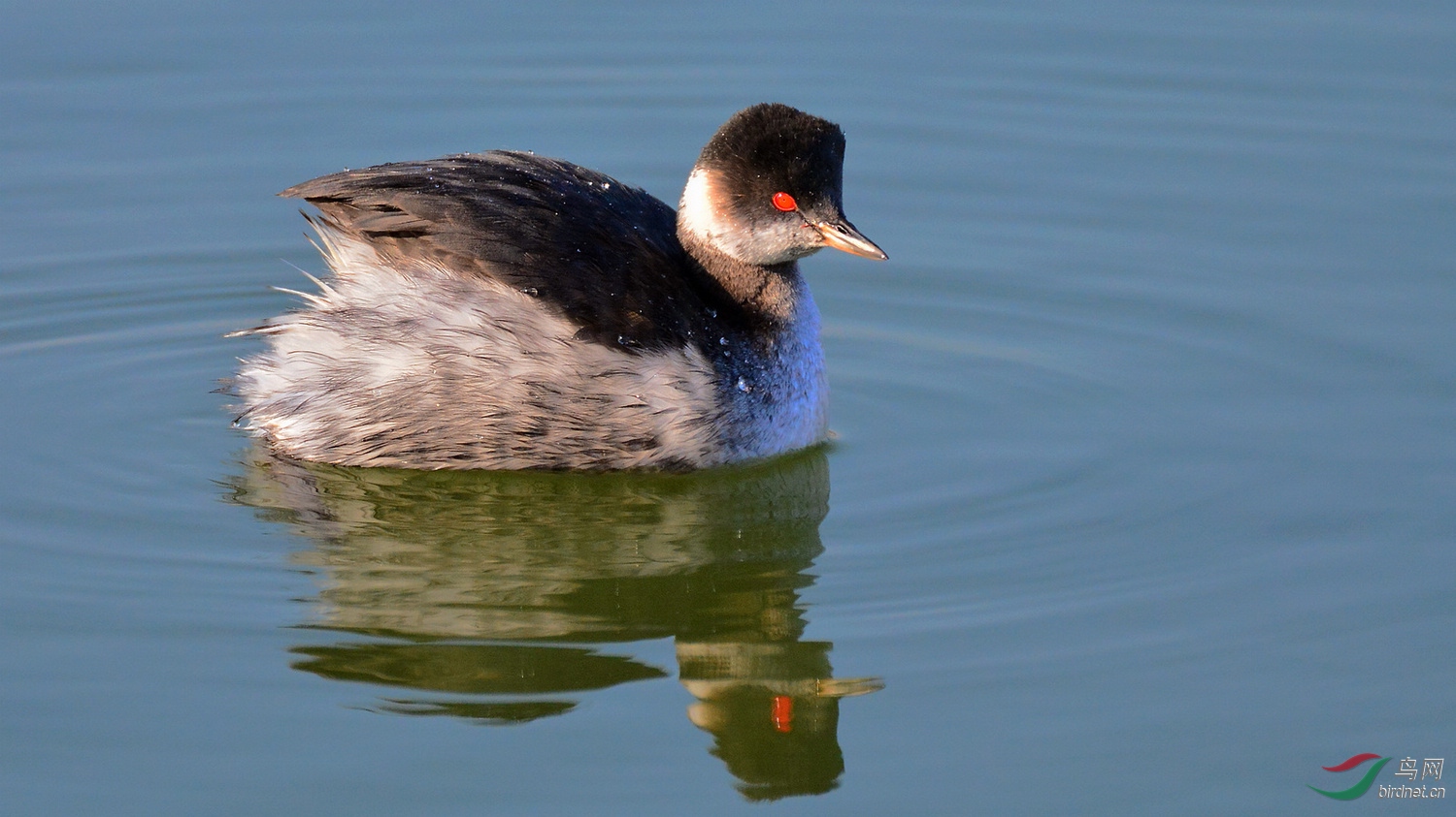 DSC_7283.JPG