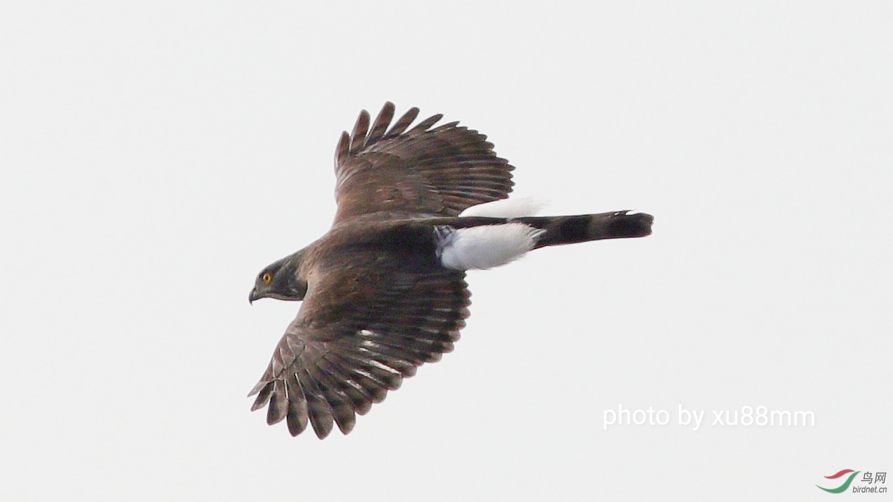 ����Լ50��