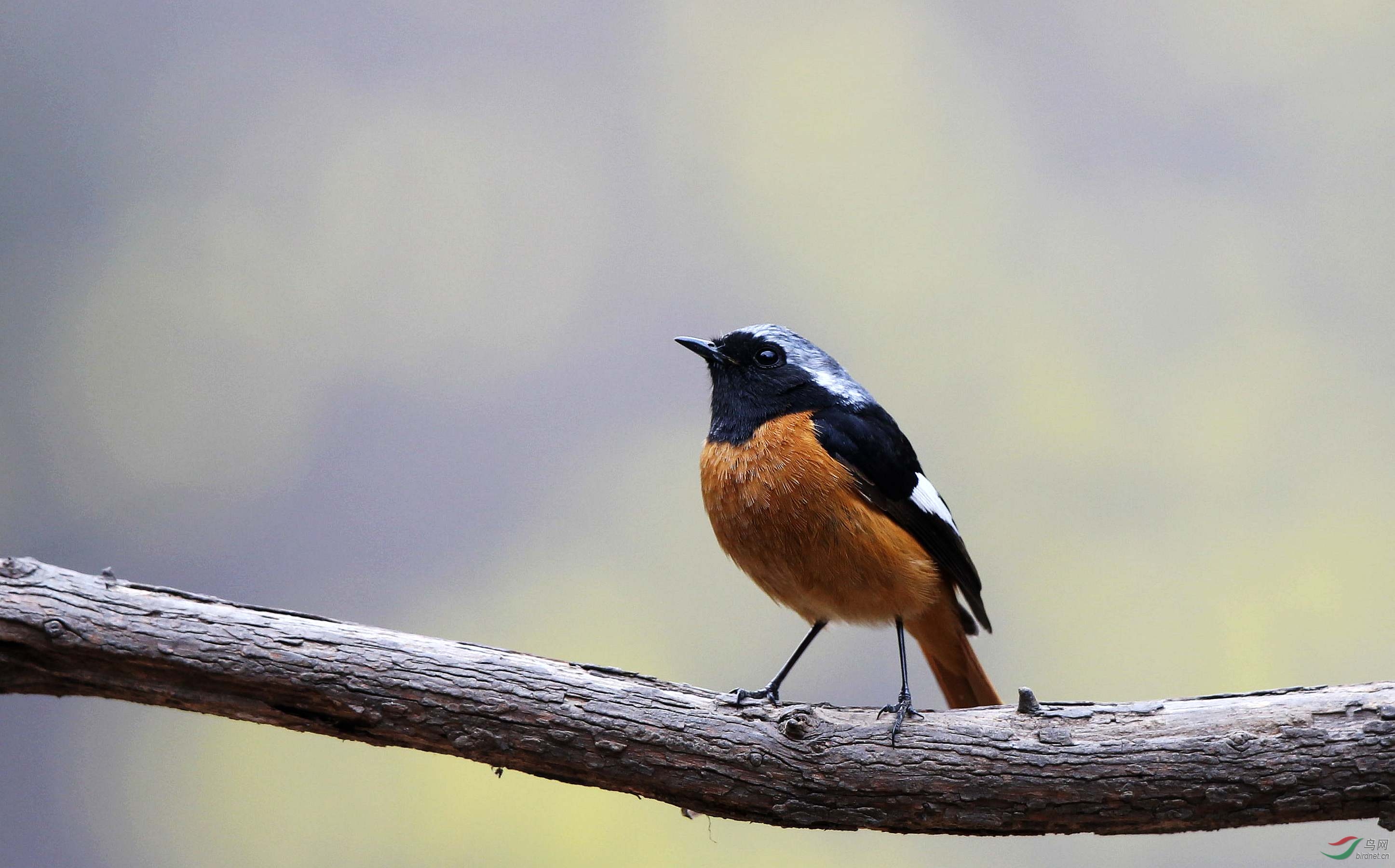 H46R1099_���� (2).jpg