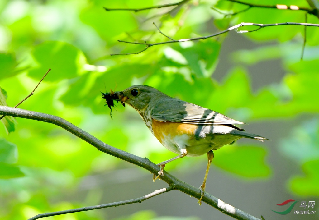DSC_6203.jpg