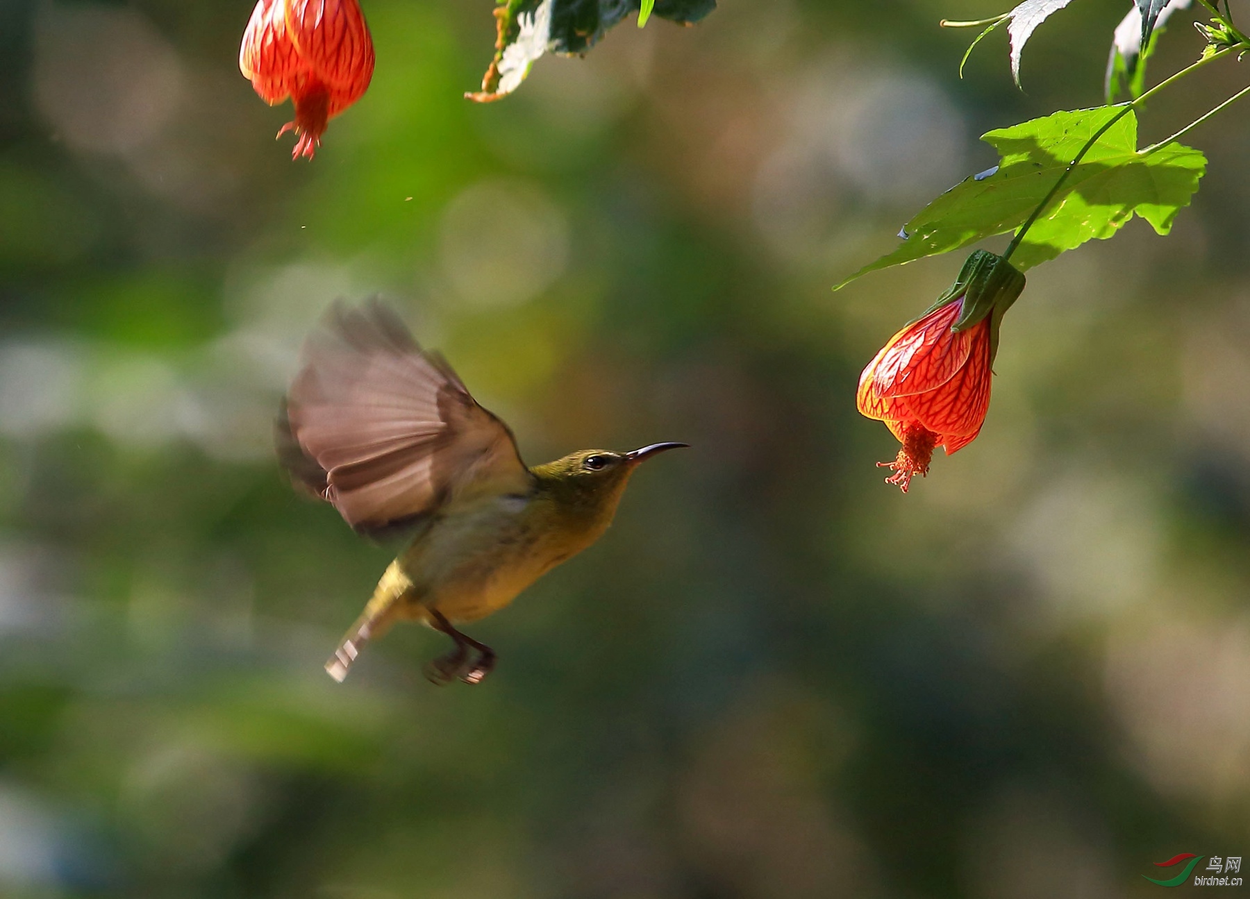 2020-01-10 10-07-05 (3).JPG