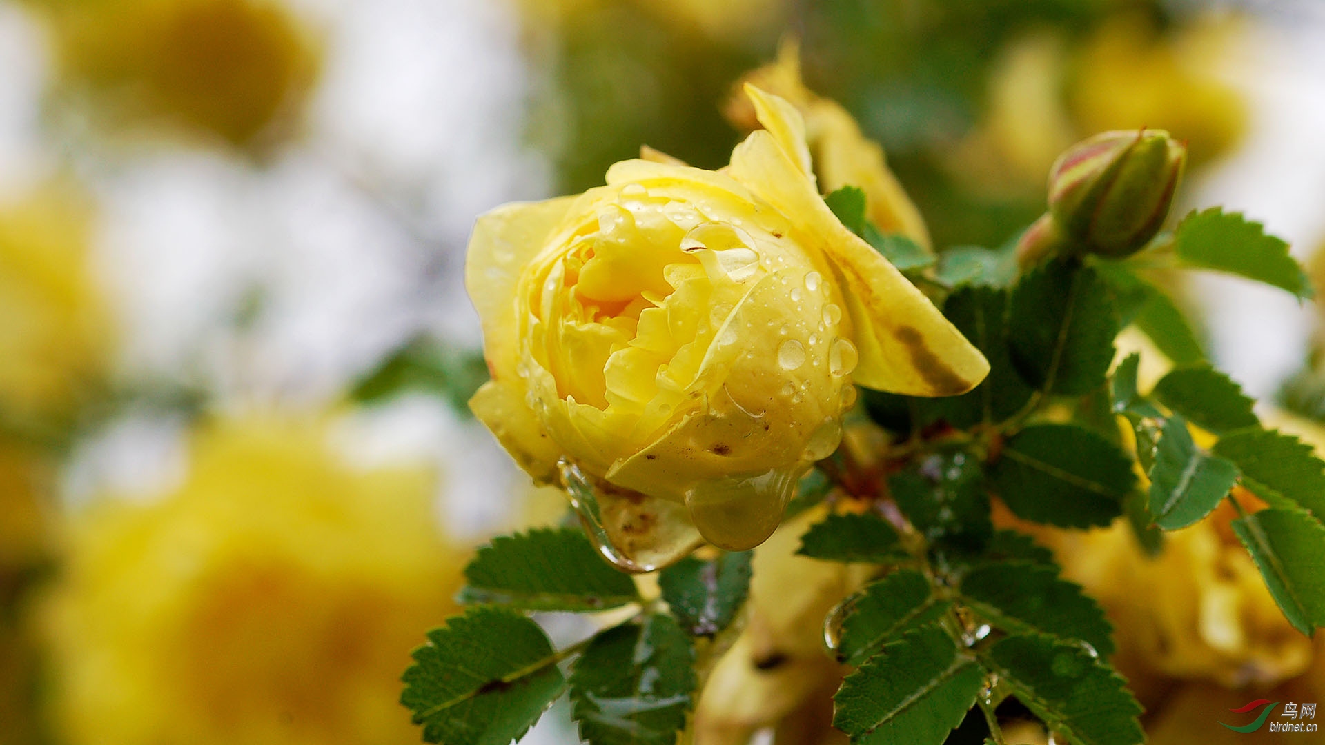 DSC_48962.jpg