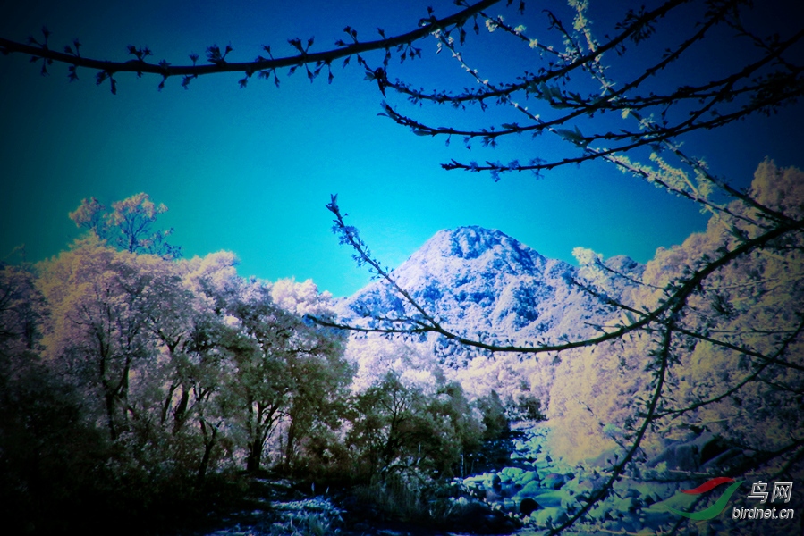 ΢��ͼƬ_20200203094623_����.jpg