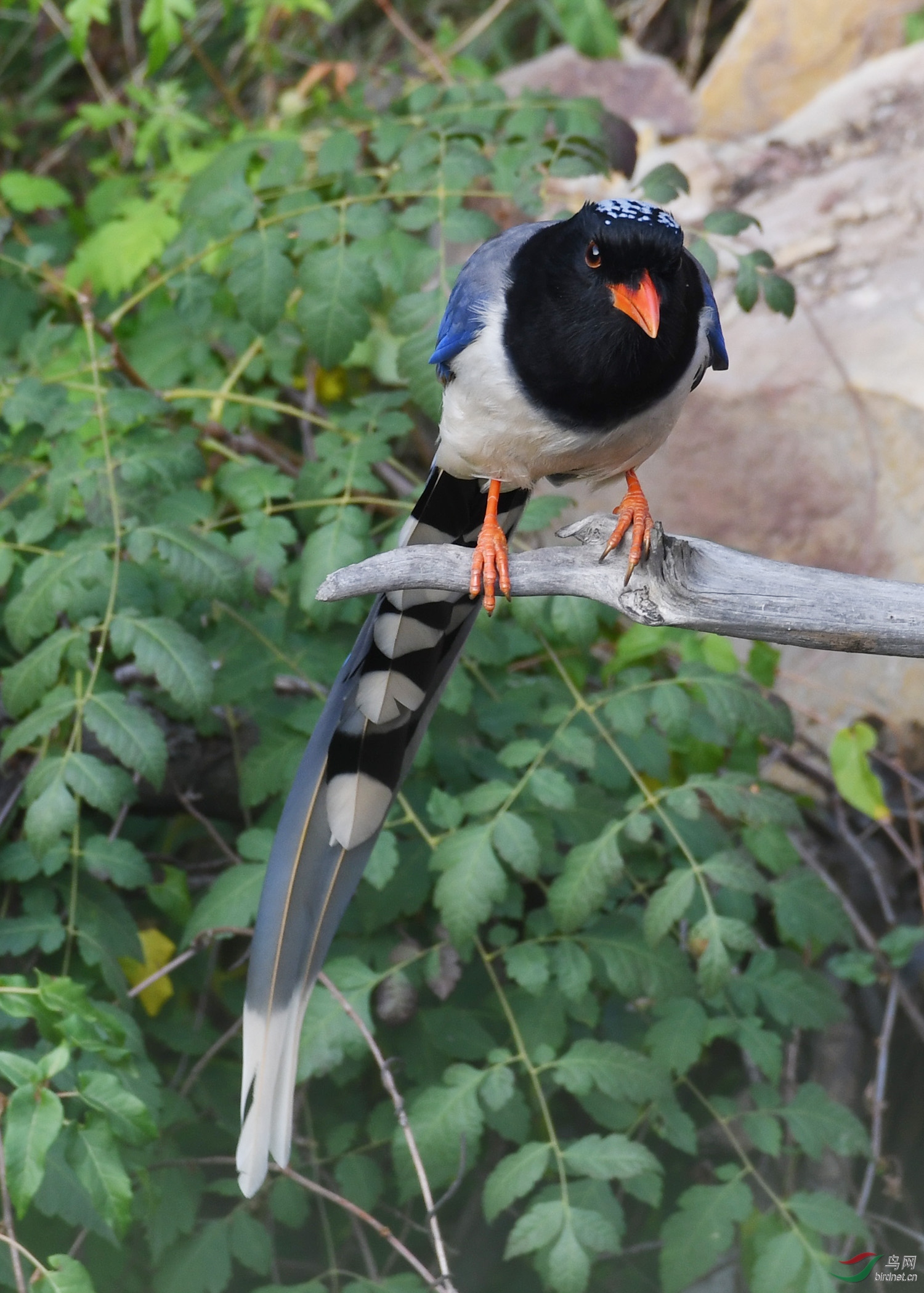 ������Ӱ 018����.jpg