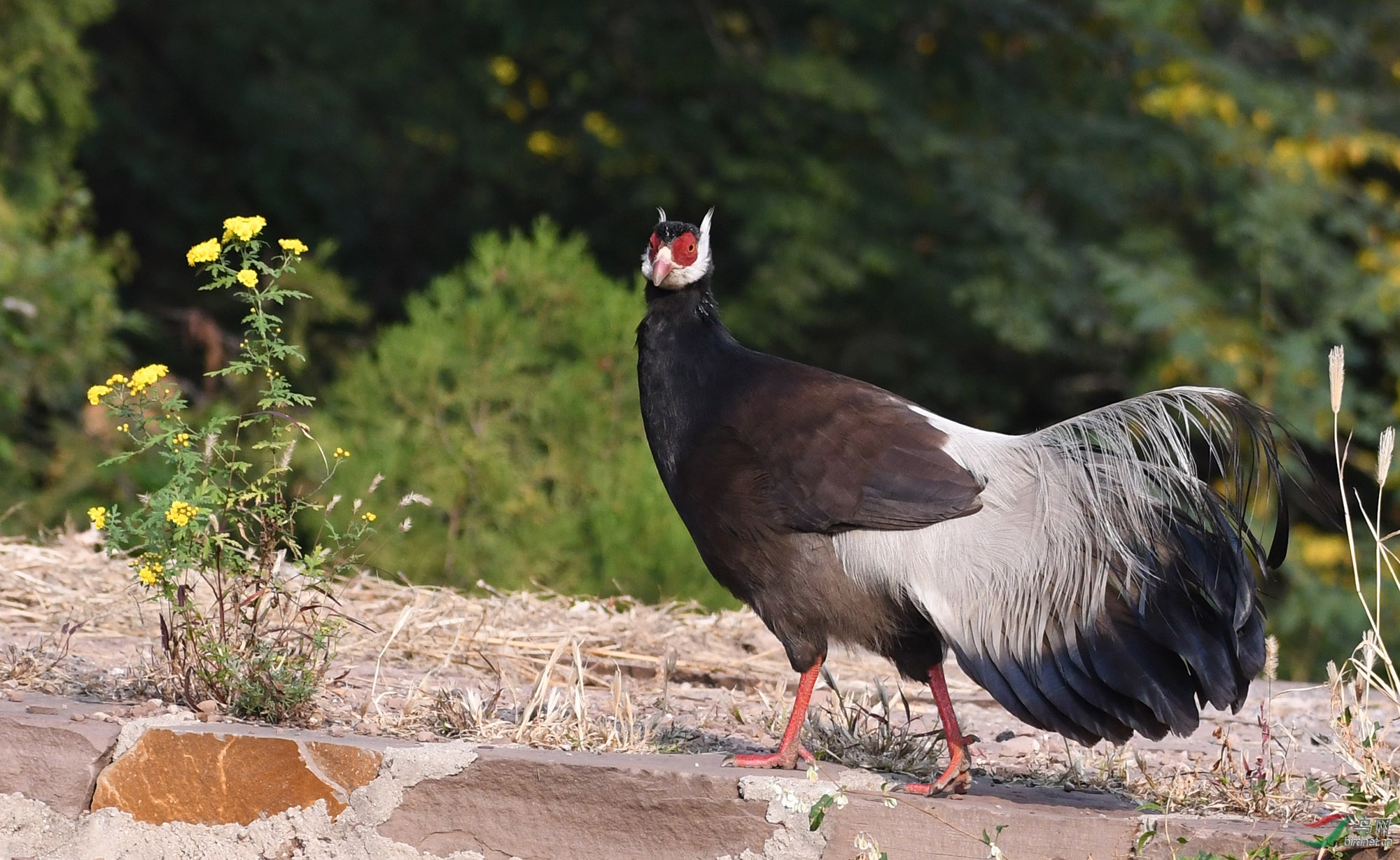 ������Ӱ 637����.jpg