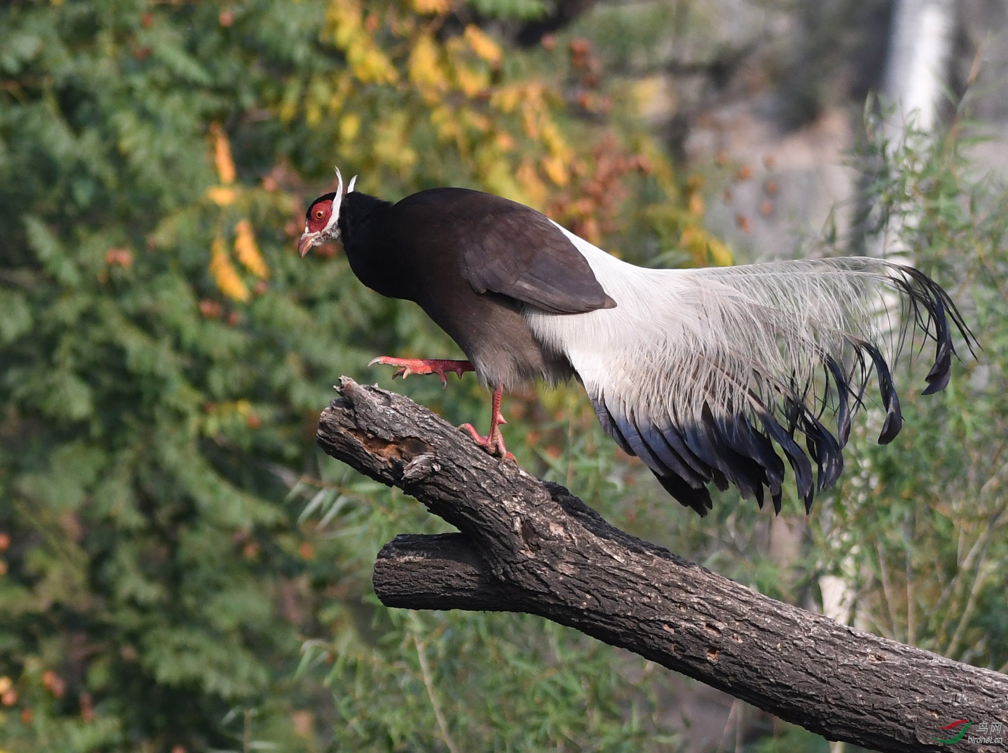 ������Ӱ 729����.jpg