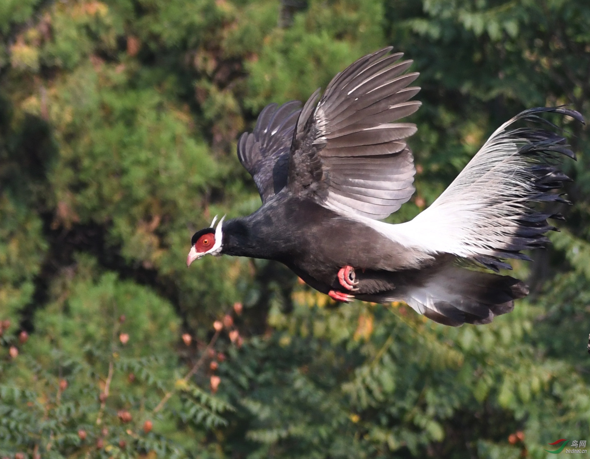 ������Ӱ 1020����.jpg