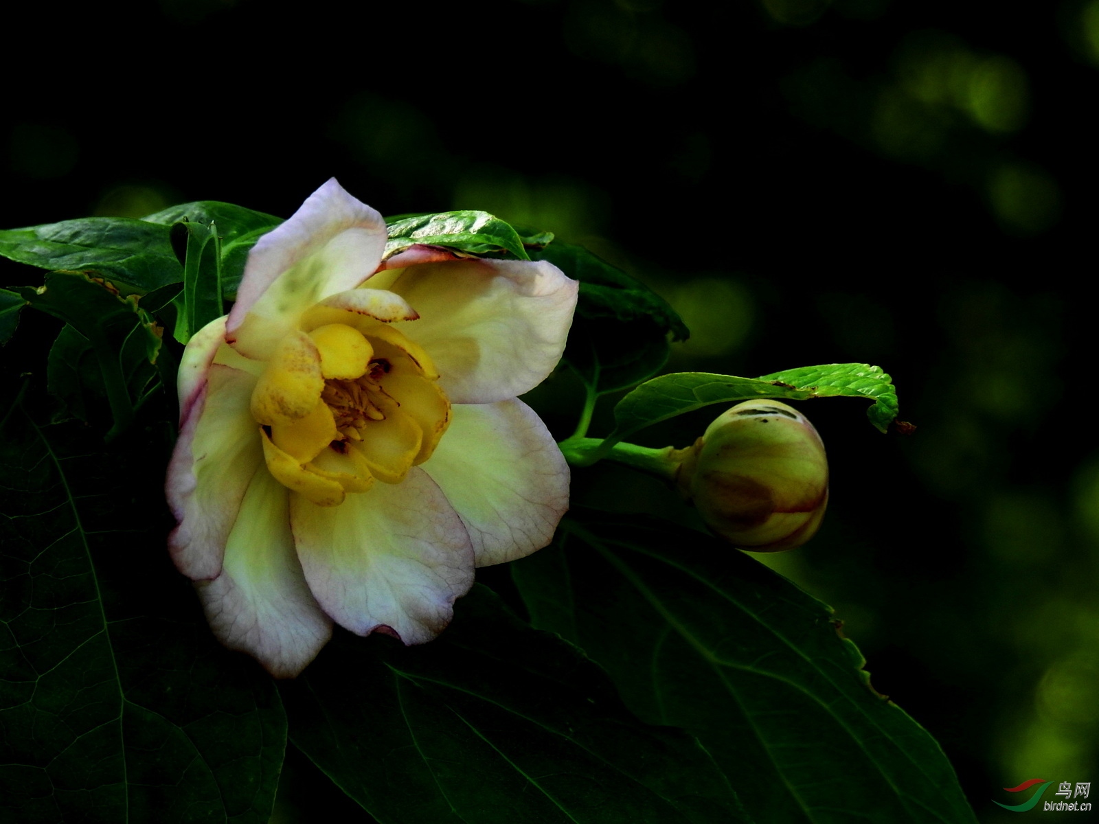 DSCN0725.JPG