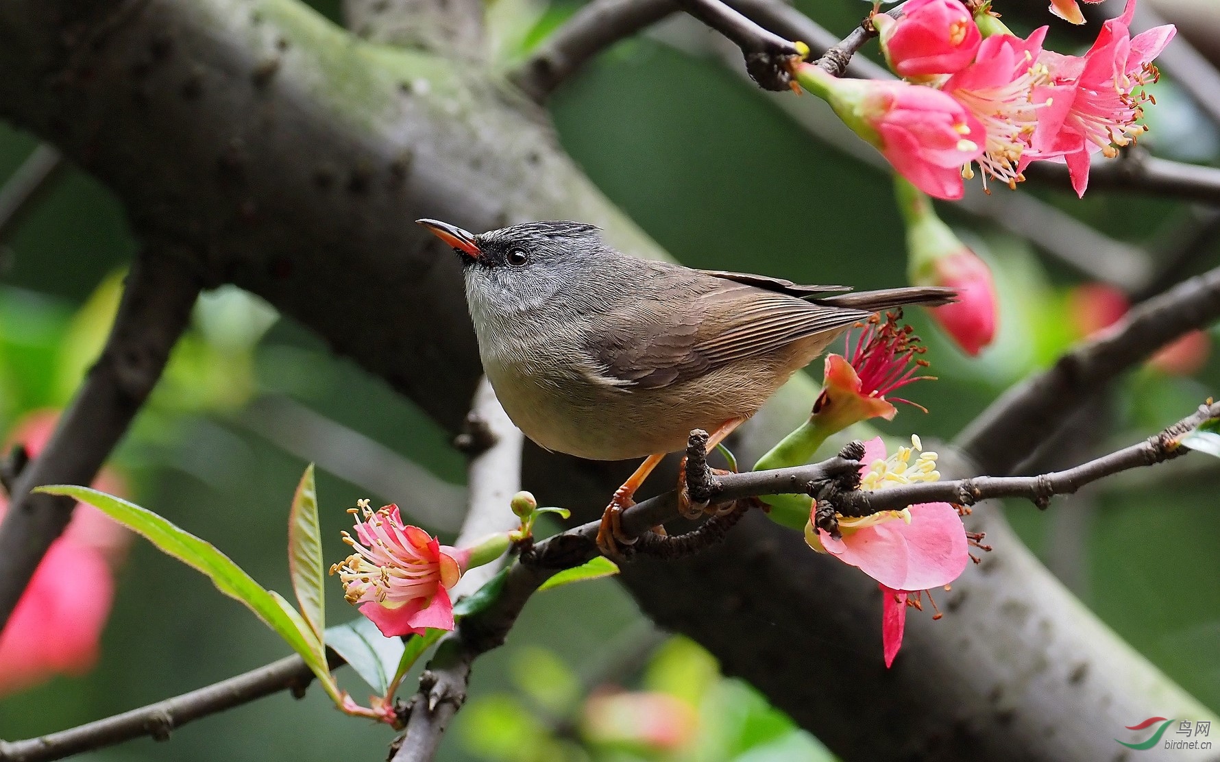 P2283948_����_DxO (����).jpg