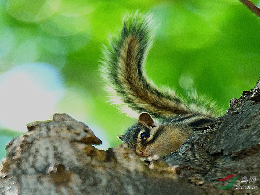 DSC_6738_00001_����_����.jpg
