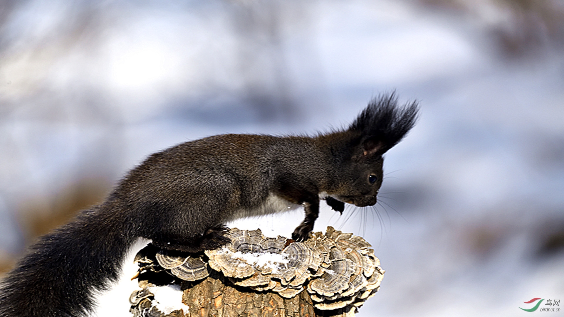 _DSC8747_00001_����.jpg