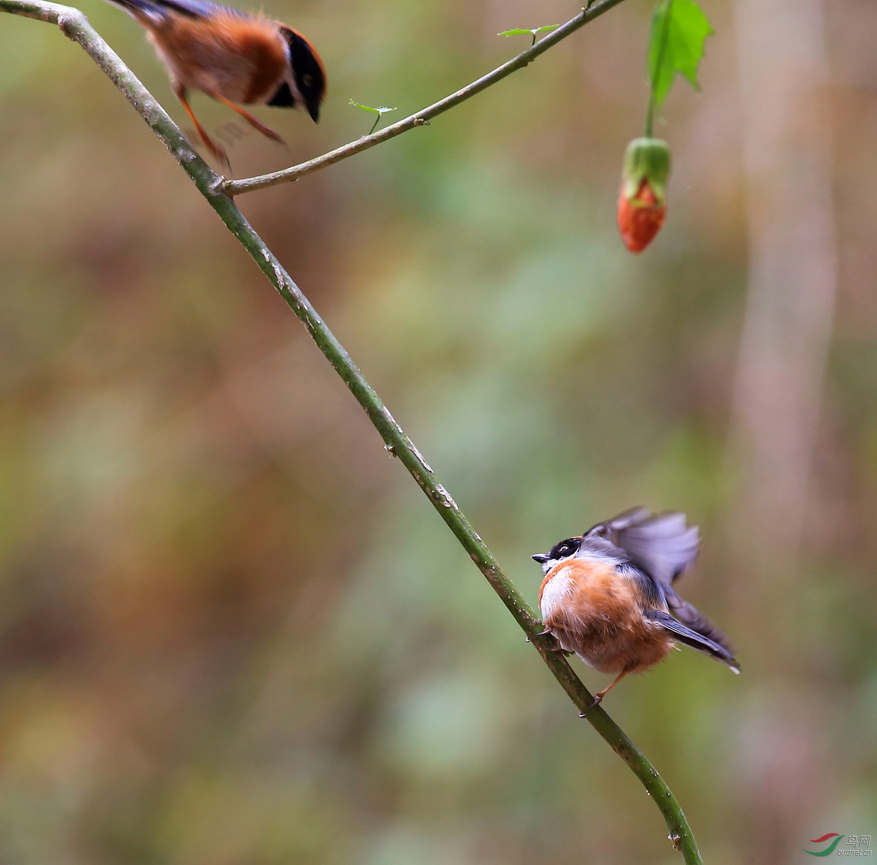 2020-01-21 12-27-16 (2).JPG