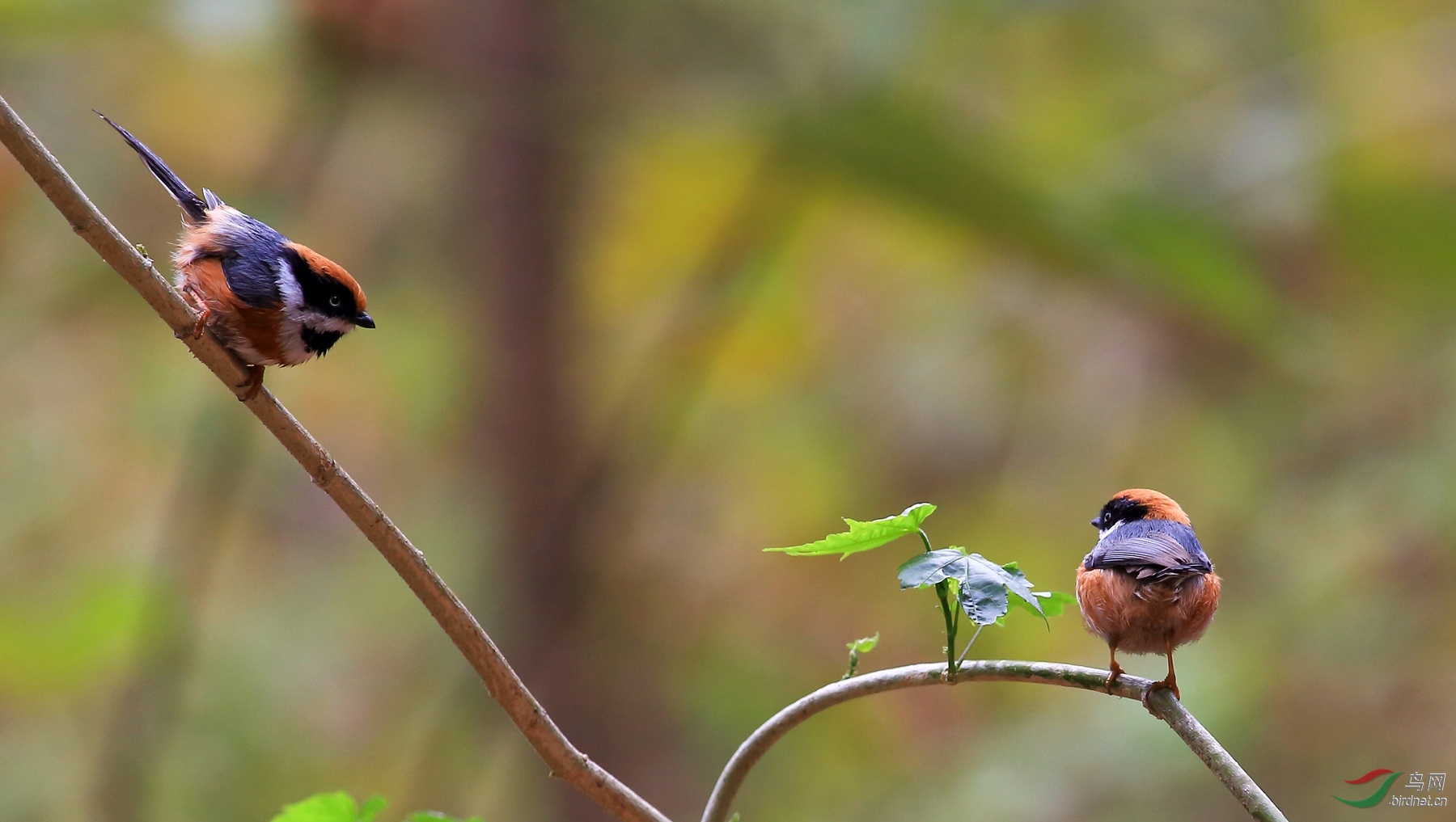 2020-01-19 14-11-25 (2).JPG