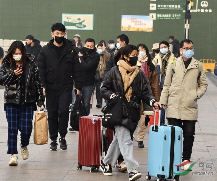 ���� wxd1.jpg