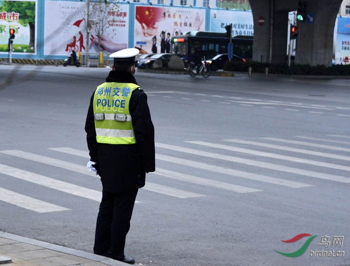 ���� wxd2.jpg