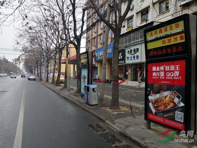 ���� wxd4.jpg