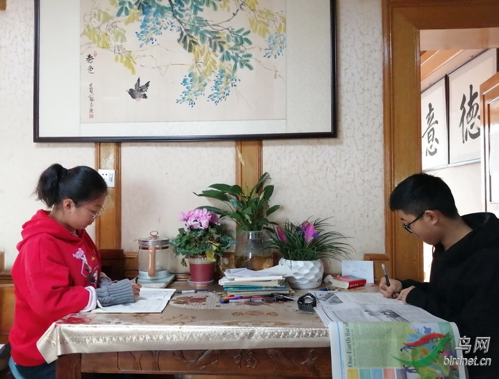 ���� wxd13.jpg