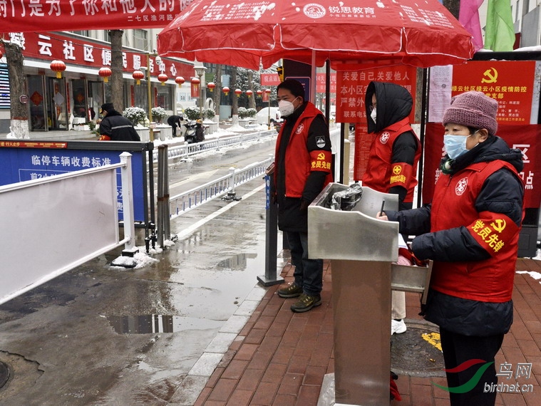 ���� wxd16.jpg