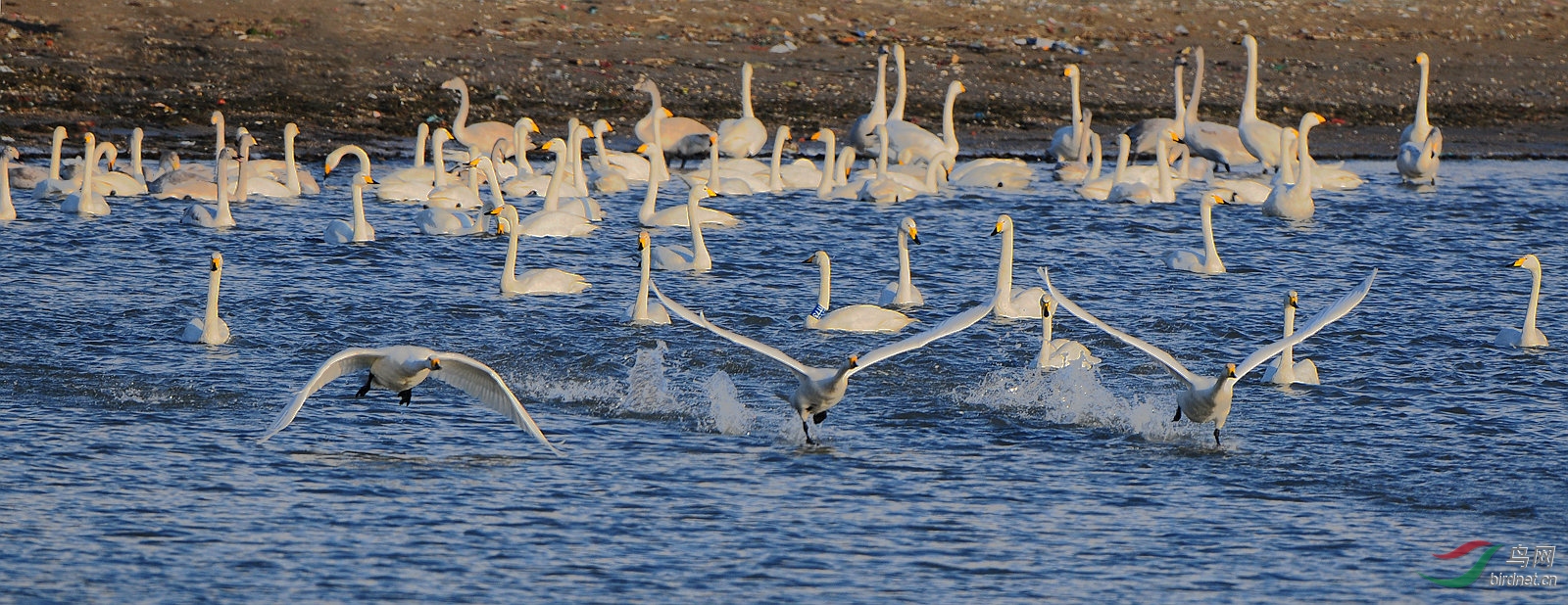 3��Ƭ 2081_����.jpg