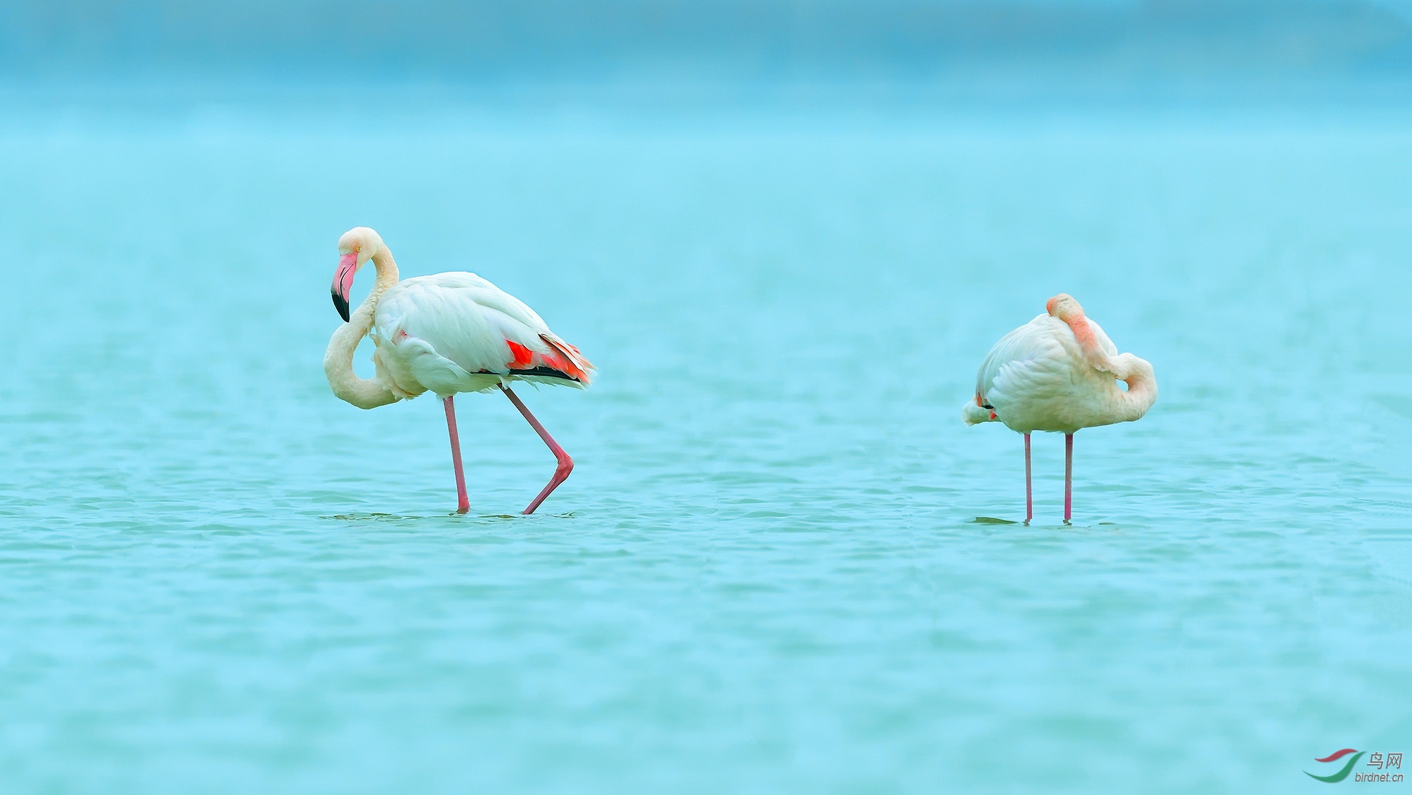 DSC_6207_���� �ϴ�.jpg