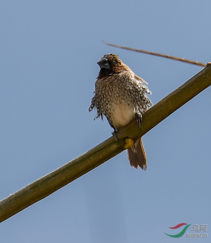 DSC_8291'x.jpg