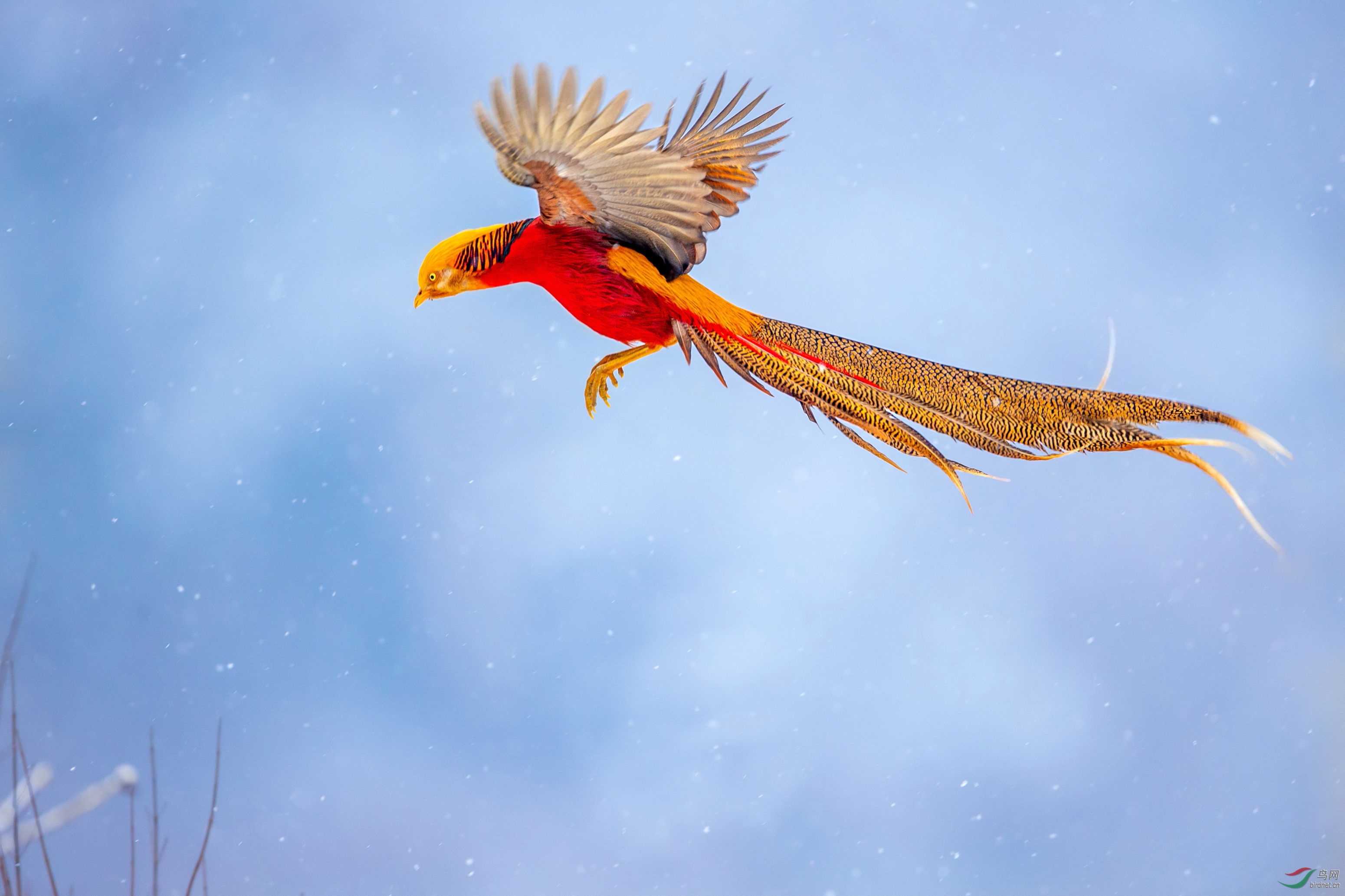 �츹���� (16).JPG