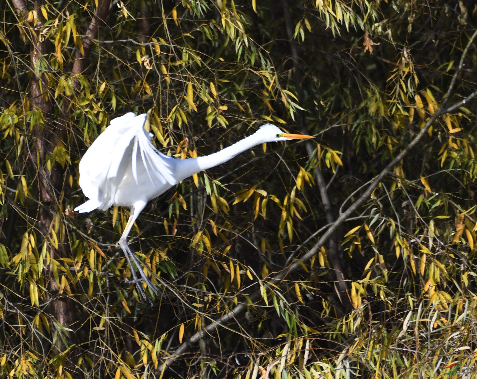 ������Ӱ 1428����.jpg