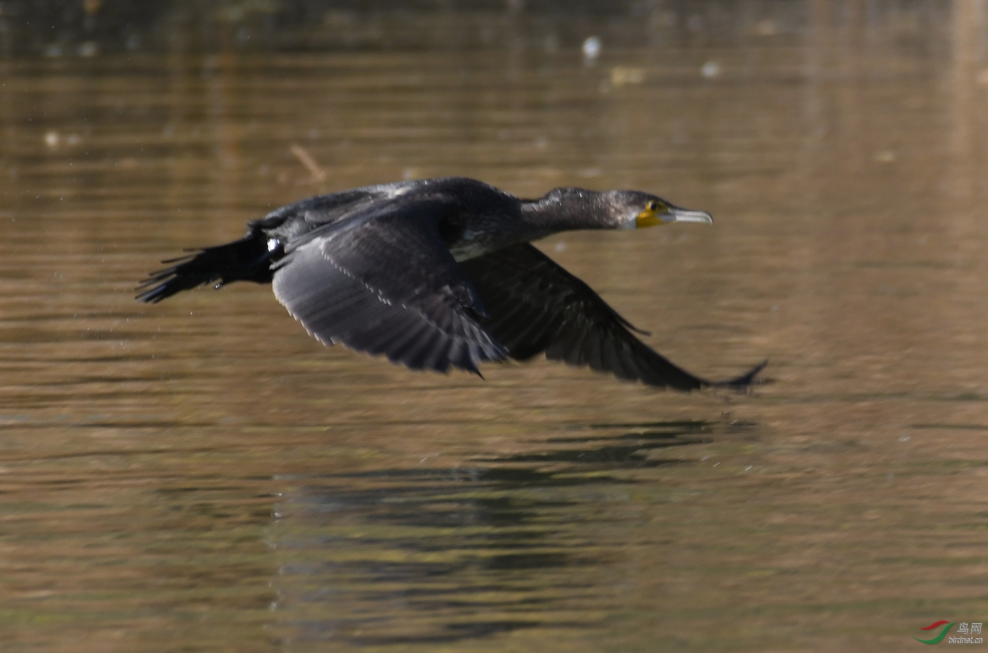 ������Ӱ 2386����.jpg