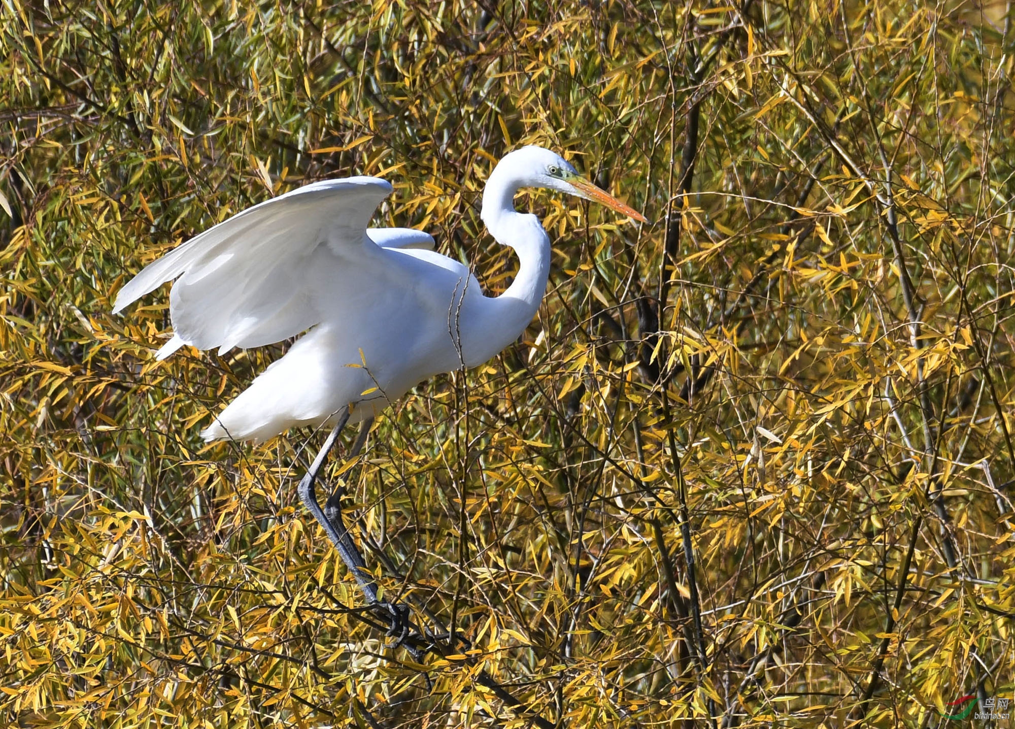 ������Ӱ 2437����.jpg