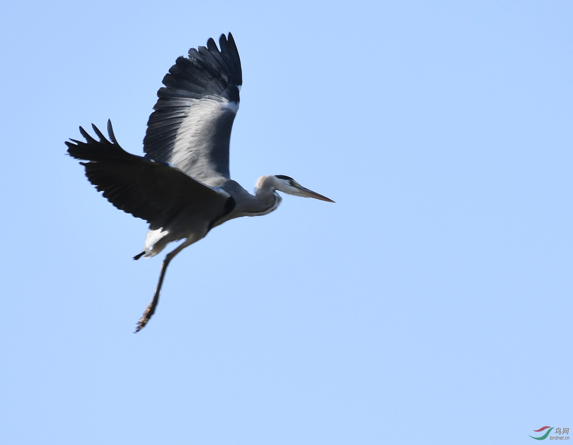 ������Ӱ 1008����.jpg