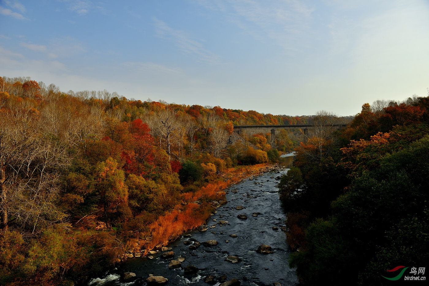 _D8A2920_17957a.jpg