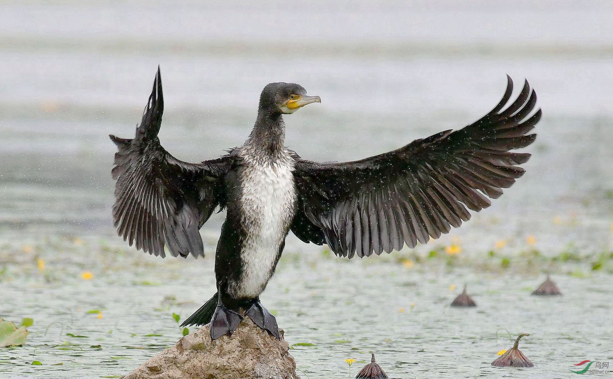 DSC_3359_���� (2).jpg