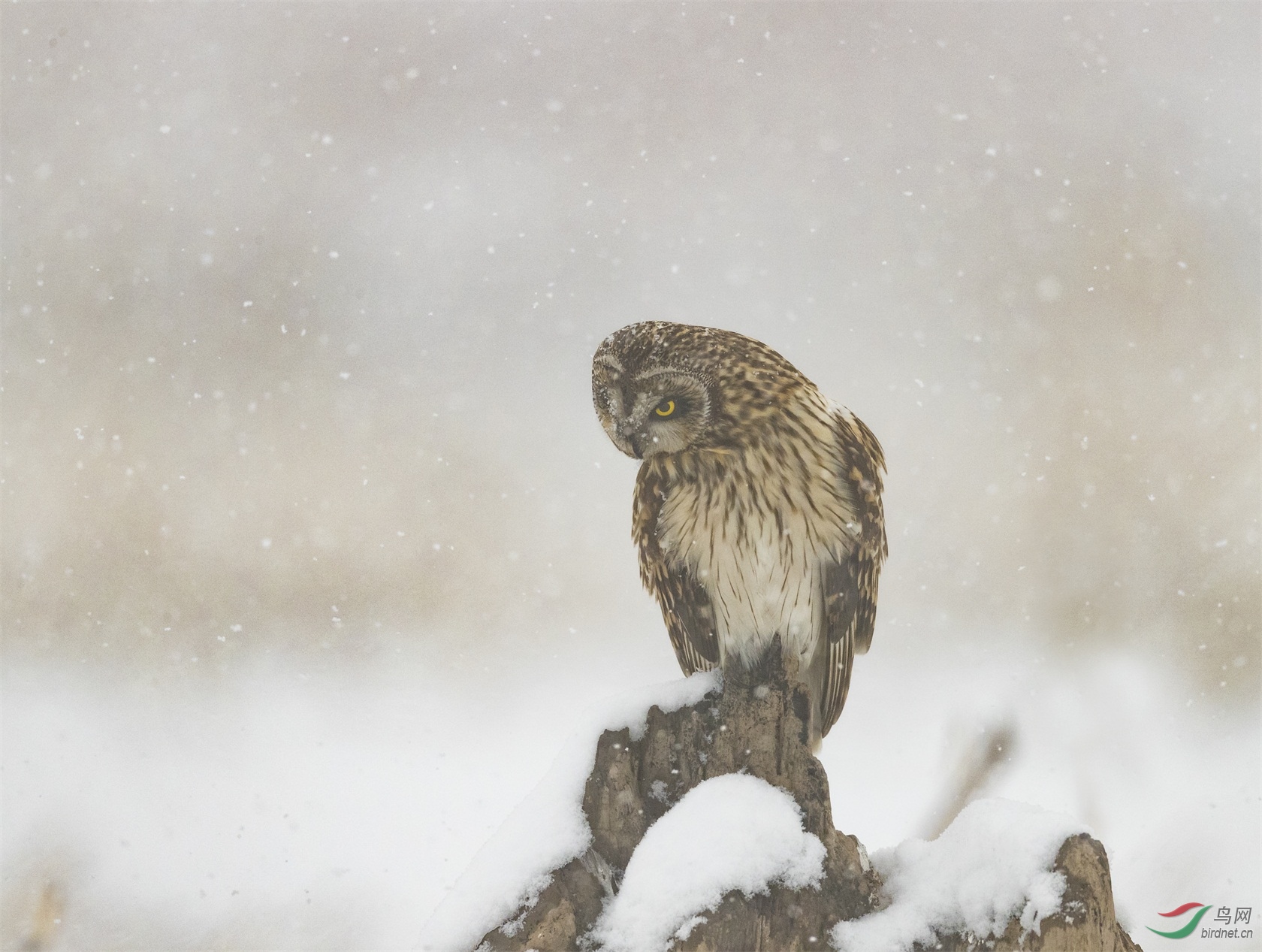 254 - ����.jpg