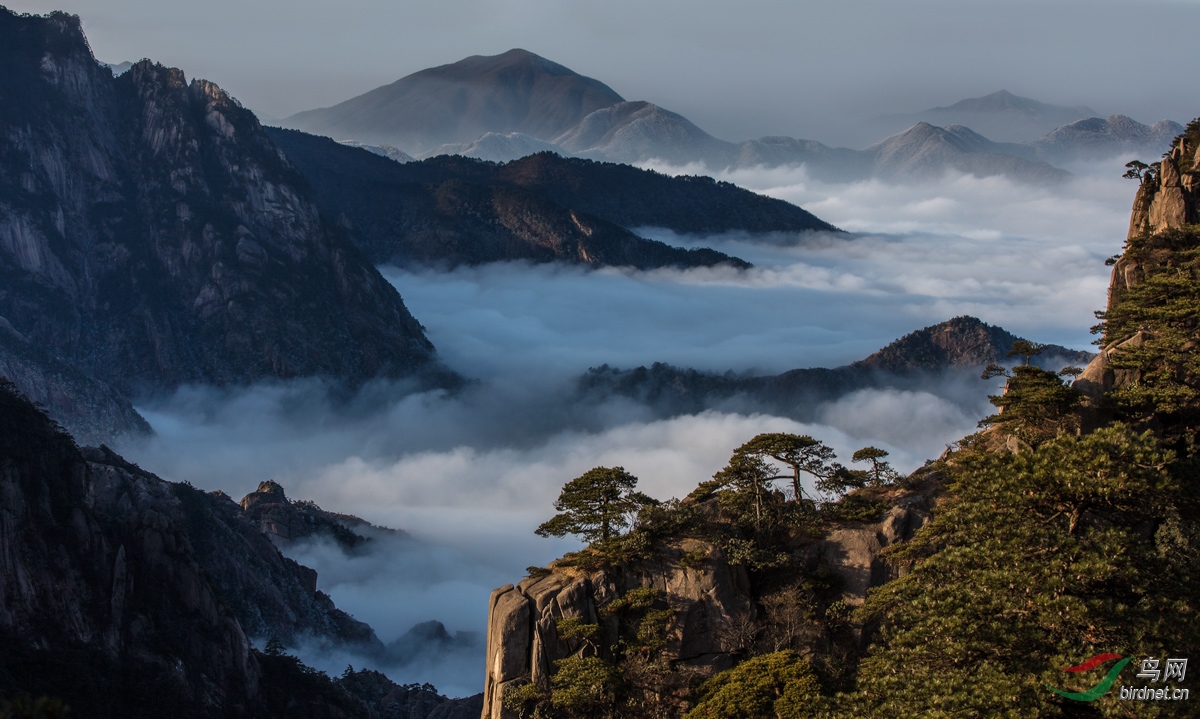 黄山云海