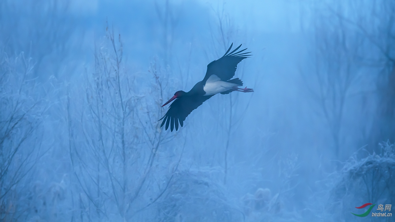 ������ʯ��ׯ������ұ��ʪ�ء�