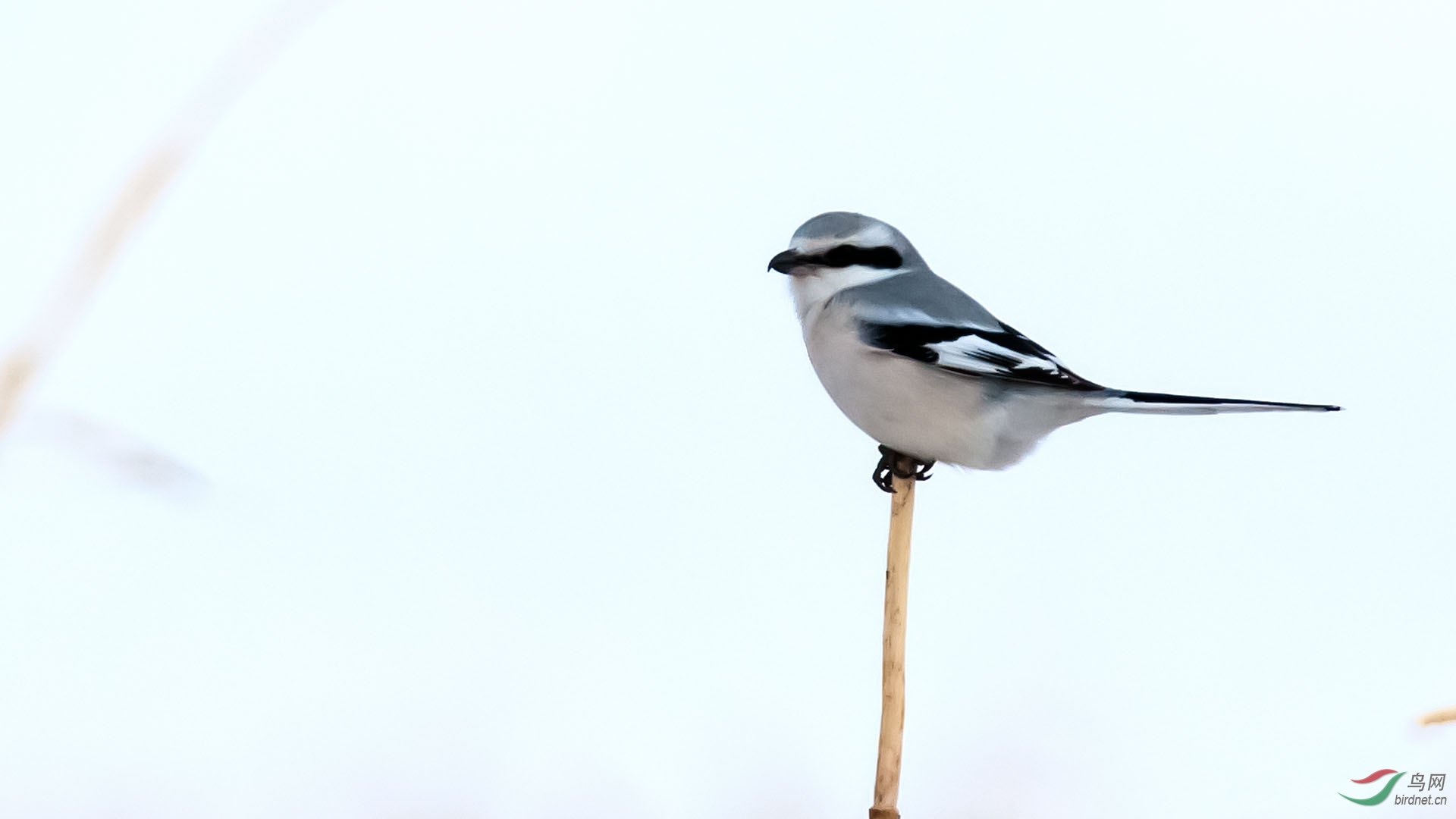 DSC_5850.jpg