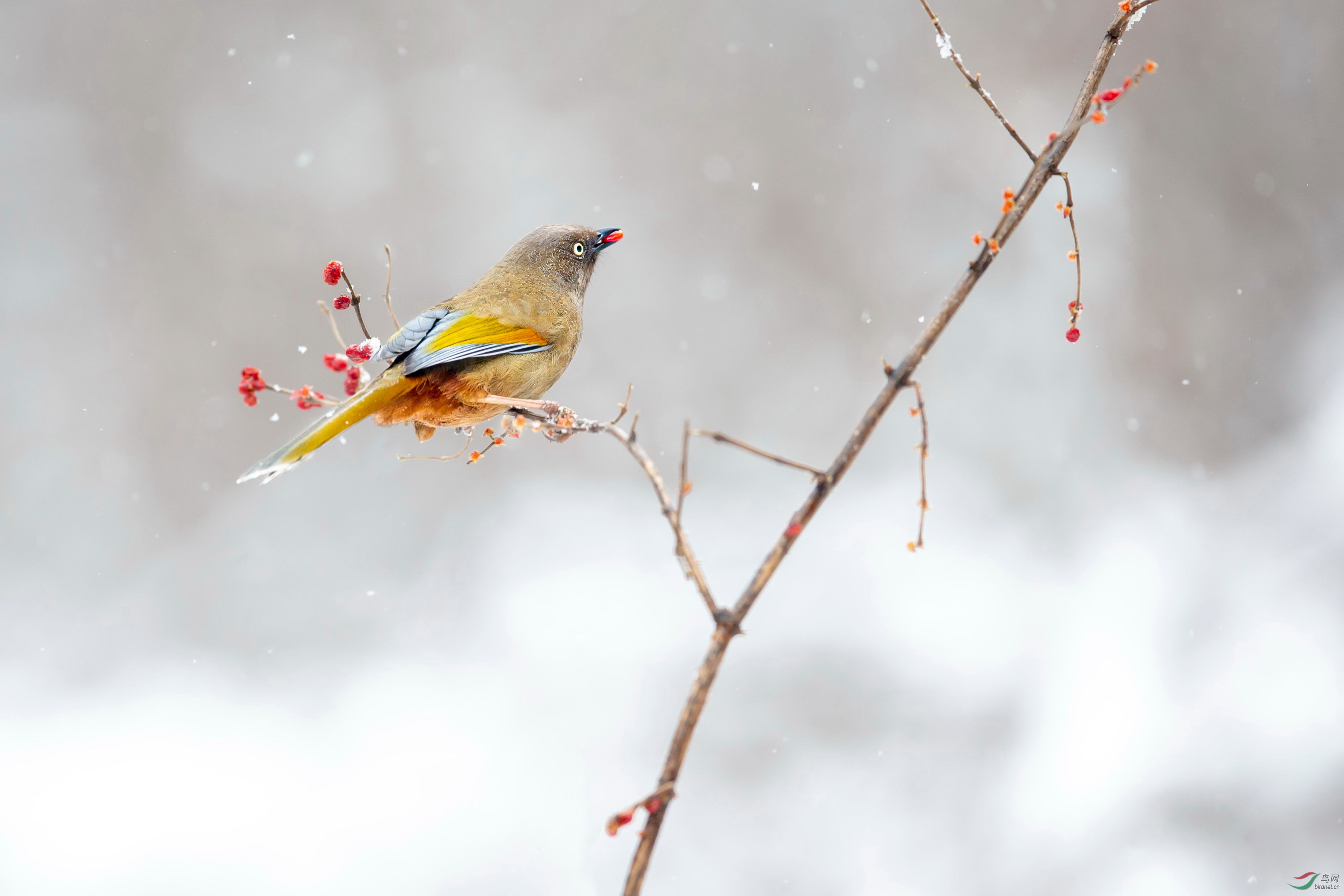 �ȳ����� (5).JPG