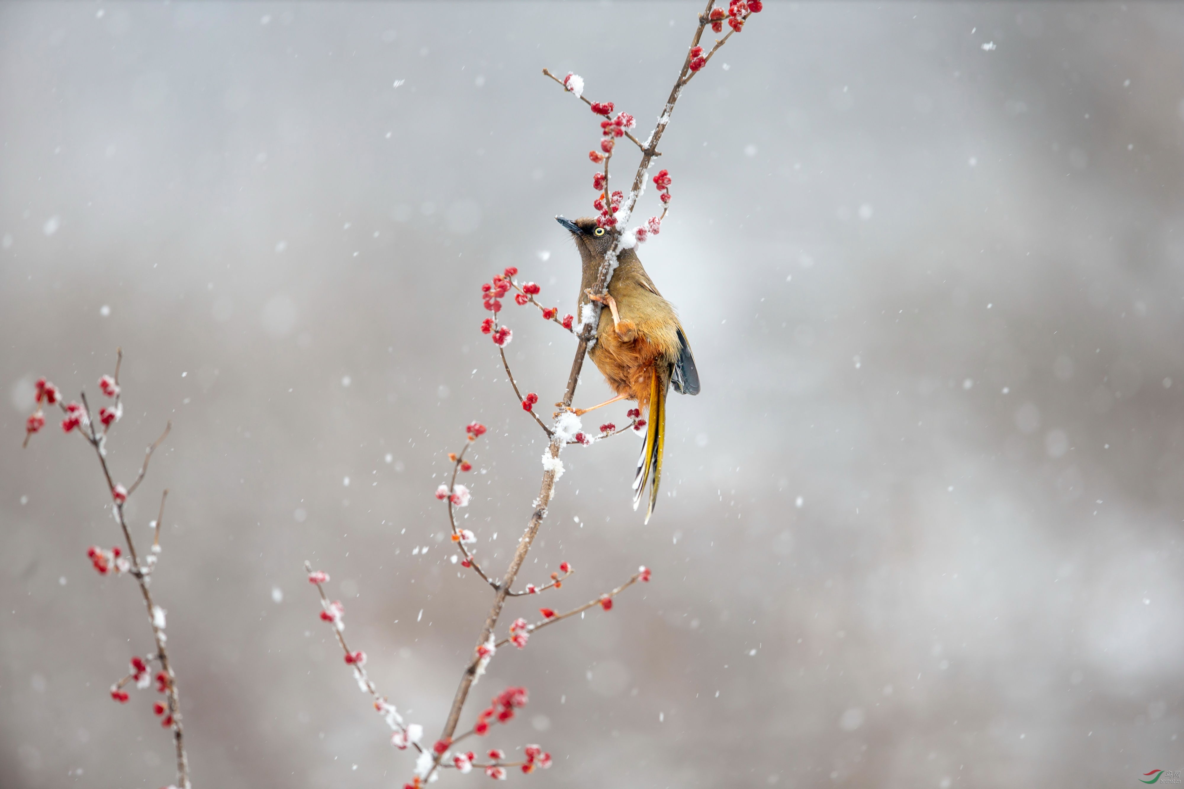 �ȳ����� (2).JPG