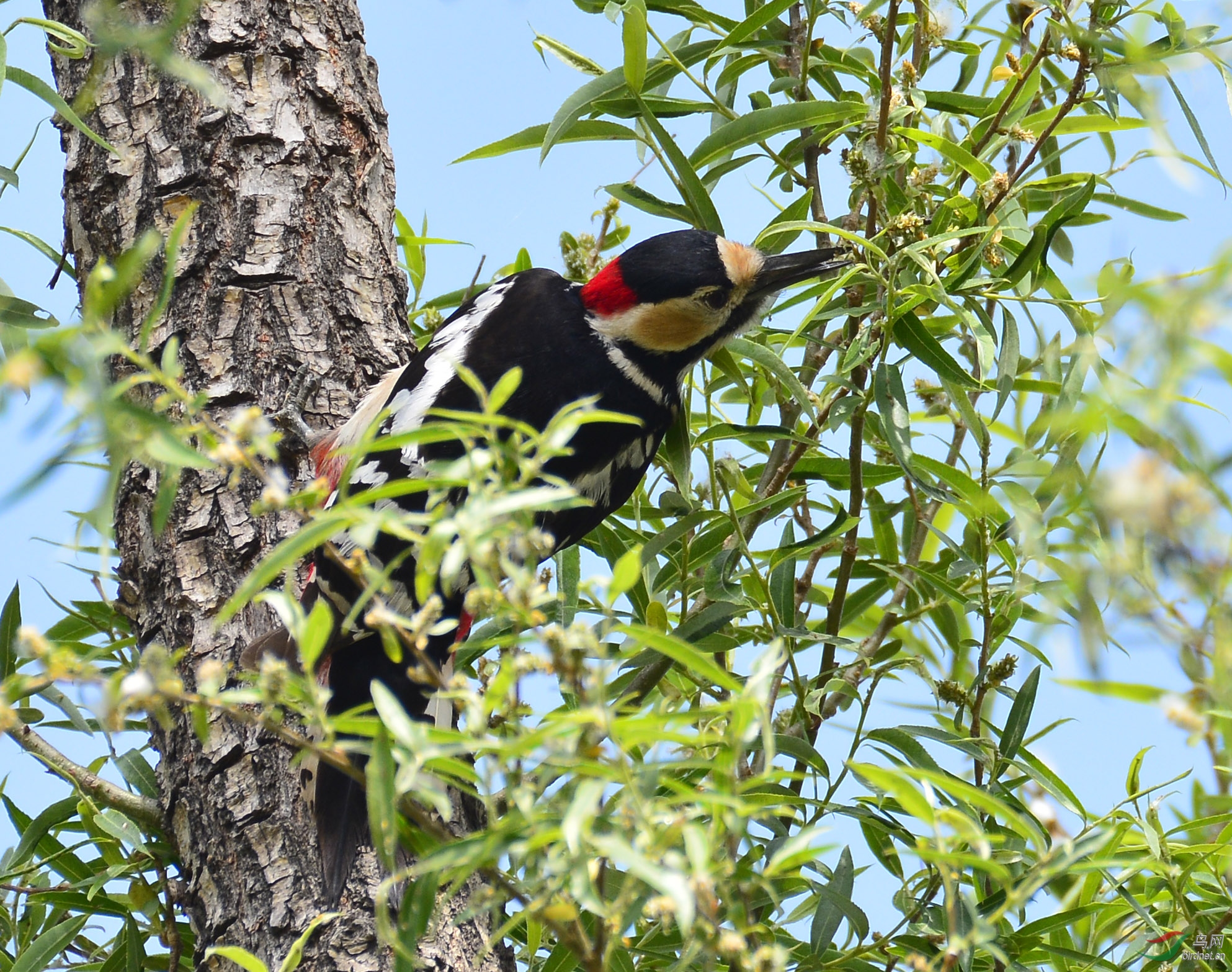 ������Ӱ 049����.jpg