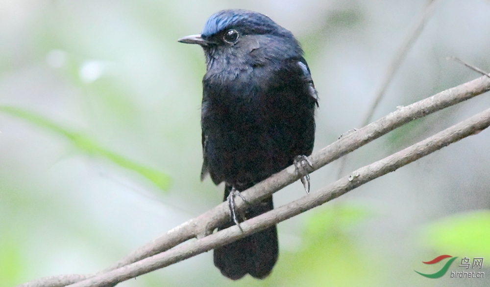 DSC_5139_����.jpg